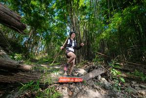 BIB: 
                            <button type="button" onclick="openModal(19388352)" class="btn btn-primary btn-sm float-right btn-popup" data-toggle="modal" data-target=".modal-high-quality">
                        <i class="fas fa-shopping-cart"></i> Add to Cart
                    </button>
                                            <button type="button" onclick="isThisMe(19388352, true)" class="btn btn-success btn-sm float-right btn-popup btn-isme hidden" data-toggle="tooltip" data-placement="bottom" title="นี่คือรูปของคุณใช่ไหม คลิกที่นี่เพื่อเอาเข้าอัลบั้ม">
                        <i class="fas fa-plus"></i> Add to album
                    </button>
                    <button type="button" onclick="isThisMe(19388352, false)" class="btn btn-warning btn-sm float-right btn-popup btn-isnotme hidden">
                        <i class="fas fa-ban"></i> Remove from album
                    </button>